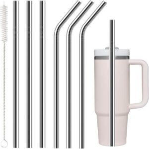 Stainless Steel Straws